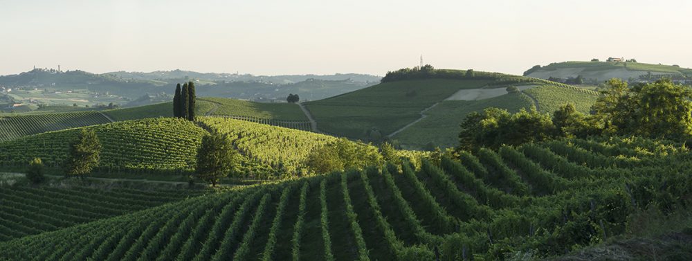 La Tenuta La Court (photo credit Enzo Massa)