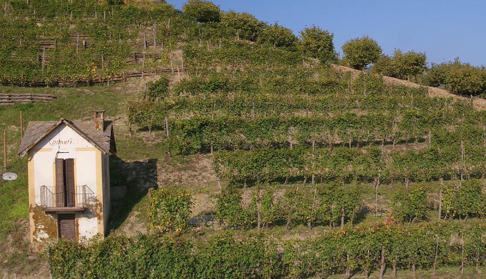 Michele Chiarlo Presents Barolo Cannubi Riserva 2016 Michele Chiarlo